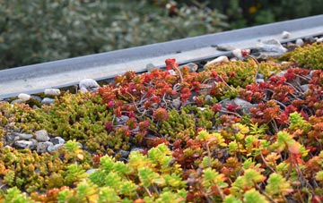 the cost of Carlton On Trent green roof installation