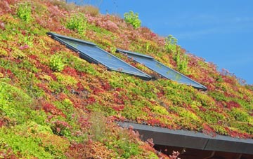 Carlton On Trent living roof systems