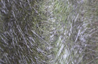 Carlton On Trent fibreglass roof work